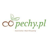 Pechy.pl nasiona marihuany Katowice
