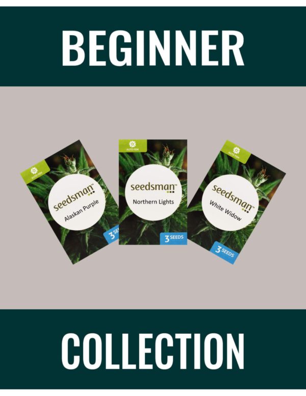 Beginner Collection Auto - Seedsman