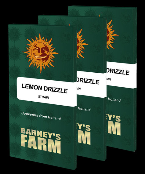 Lemon Drizzle- Barney's Farm