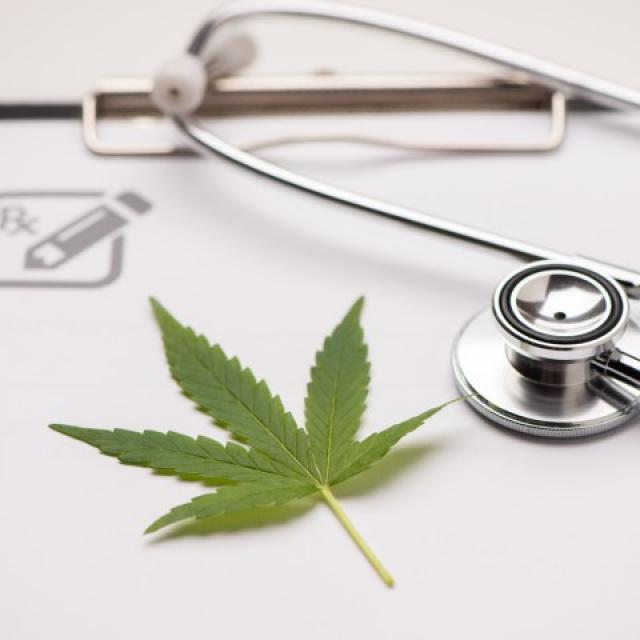 Marihuana jako skuteczne lekarstwo – Nowe horyzonty w medycynie